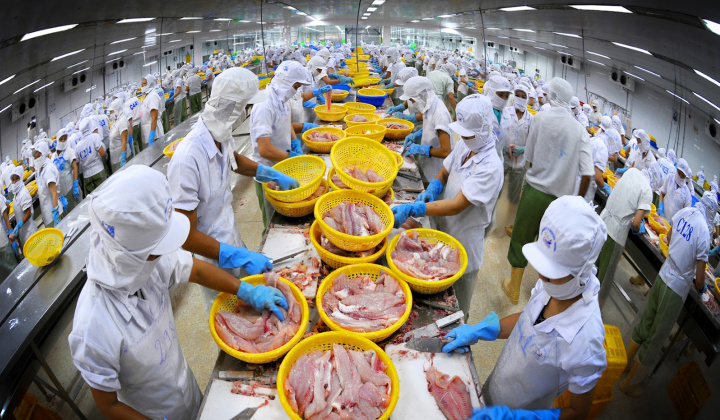 DOC công bố thuế chống bán phá giá với cá tra Việt Nam (POR14): Cwin63 sân chơi đỉnh cao khuyến nghị DN tiếp tục hợp tác với DOC