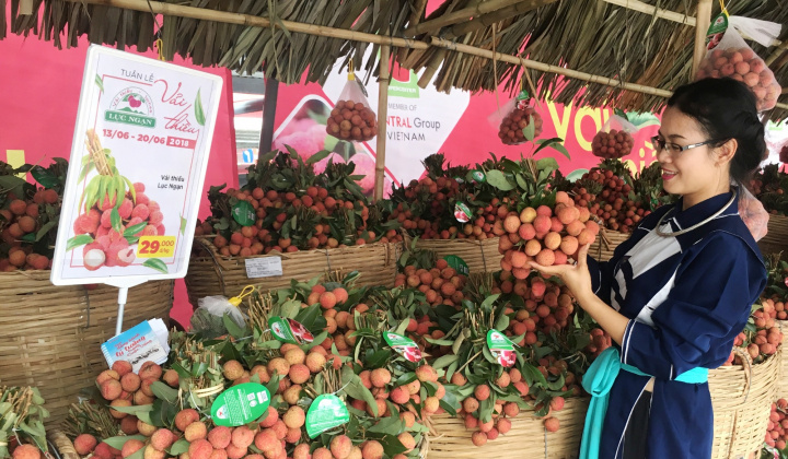Vải thiều Lục Ngạn chính thức có mặt tại Thủ đô