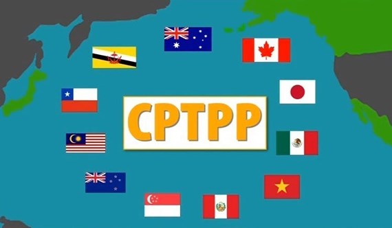 Với CPTTP, Việt Nam chuyển từ nhập siêu sang xuất siêu