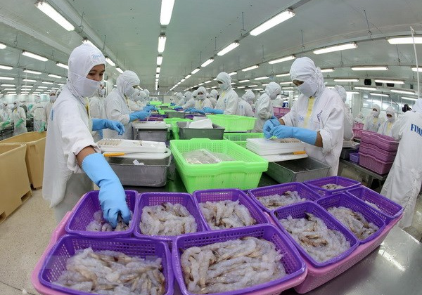Ấn Độ mong muốn hợp tác với Việt Nam để phát triển thủy sản