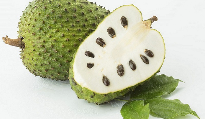 Khảo sát ảnh hưởng nồng độ đồng dung môi (ethanol) đến quá trình trích ly thu nhận polyphenol từ vỏ quả mãng cầu ta (Annona squamosa L.) bằng CO2 siêu tới hạn