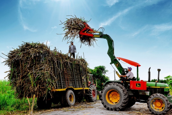 Tạo lập thị trường cạnh tranh công bằng để phát triển ngành mía đường