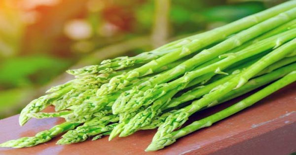 Măng tây Việt Nam có thể được xuất sang Úc ngay trong tháng 3