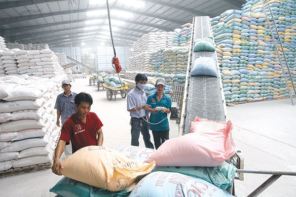 Thóc nhập kho dự trữ quốc gia phải là thóc mới