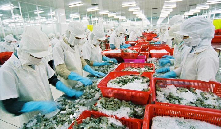 Cwin com sòng bạc trực tuyến sang EU và những lưu ý cho Cwincom hiện đang mở Việt trước dịch Covid-19
