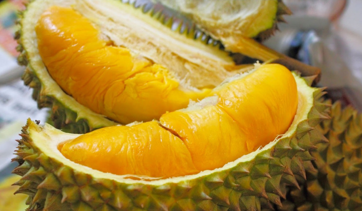 Sầu riêng và những điều cần biết