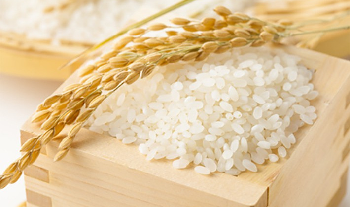 Giá gạo trong nước tăng mạnh, Bra-xin khẩn cấp đưa thuế Cwin com sòng bạc trực tuyến gạo về 0%