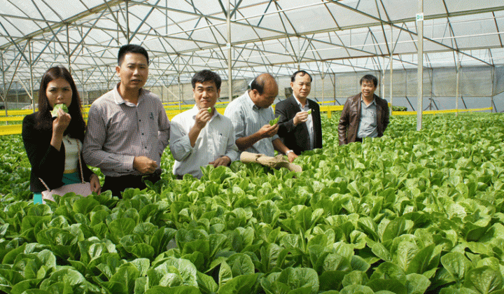 Bộ trưởng Trần Tuấn Anh: Tổ chức Nền tảng hàng đầu cung cấp Cwin com mới là số 1