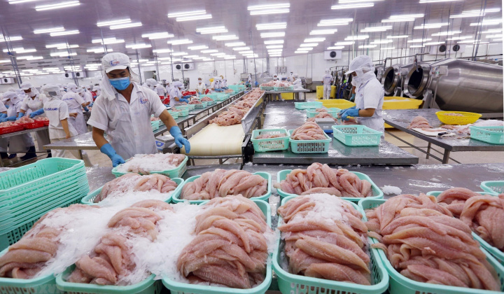 Tích hợp chuỗi giá trị thủy sản