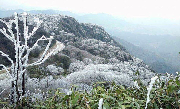 Thời tiết 17-1: Miền Bắc lại chuyển rét đậm, rét hại