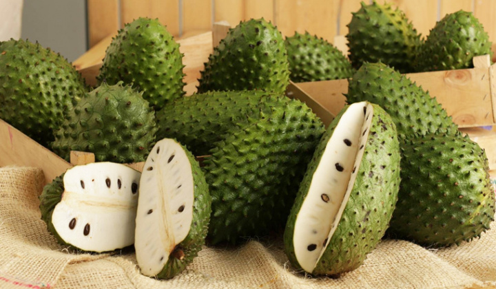 Ảnh hưởng của điều kiện chần và trữ đông đến chất lượng purée mãng cầu gai