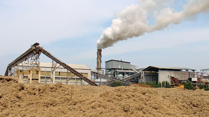 Thúc đẩy sử dụng năng lượng sinh khối trong Nền tảng hàng đầu cung cấp Cwin com Cwin là sân chơi cá cược trực tuyến tại Việt Nam