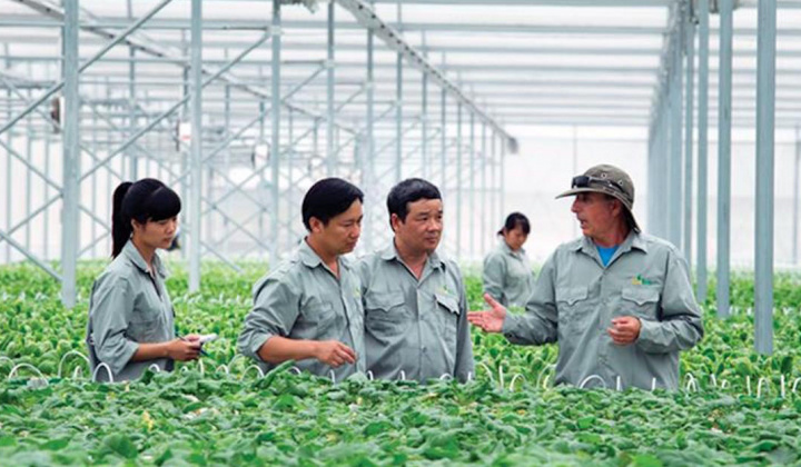 GlobalGAP - Hộ chiếu để nông phẩm Việt tiếp cận thị trường EU