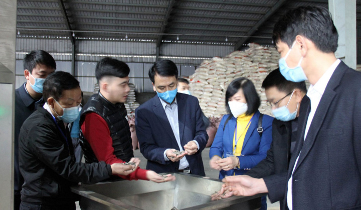 Lào Cai: Siết chặt công tác hậu kiểm, kiểm tra về an toàn Link vào Cwin Cá Cược Thể Thao 2026 dịp Tết