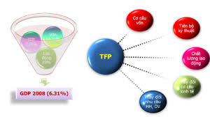 So sánh các phương pháp tính TFP và ứng dụng trong tính toán TFP cho các Cwincom hiện đang mở vừa và nhỏ ở Việt Nam