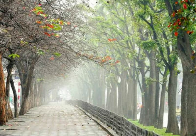 Thời tiết 1-3: Bắc bộ trời nhiều mây, có lúc có mưa nhỏ, trời rét