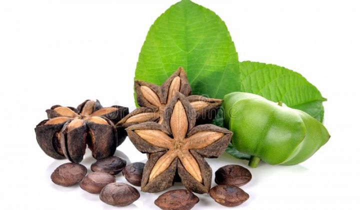 Khảo sát các điều kiện thu hồi dầu từ hạt cây Sacha inchi (Sachi) trồng tại Việt Nam bằng phương pháp cơ học
