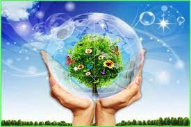 Nội luật hóa các cam kết về môi trường, ứng phó biến đổi khí hậu trong CPTPP và EVFTA