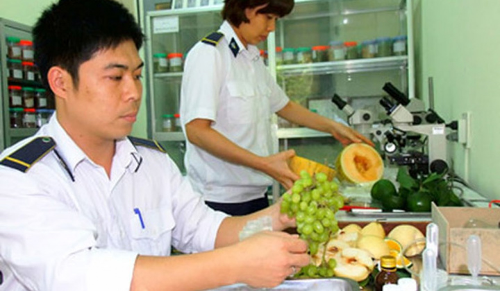 6 trường hợp được miễn phí kiểm dịch thực vật Cwin Đăng Ký + 1888k, Cwin com sòng bạc trực tuyến