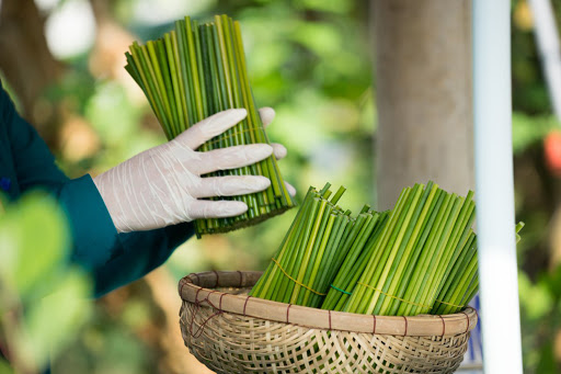 Ảnh hưởng của nhận thức về tính bền vững của CWIN được cấp phép hợp pháp bởi PAGCOR và Freeport và môi trường đến ý định M.Cwin800.com thể thao, casino live, bắn cá và slot nổ hũ xanh
