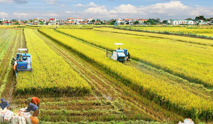 Giải bài toán giám sát việc thực hiện quy hoạch liên kết vùng