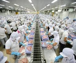 Thực trạng công bố thông tin phát triển bền vững của các Cwincom hiện đang mở niêm yết ngành Link vào Cwin Cá Cược Thể Thao 2026