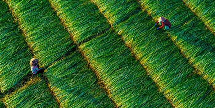 Những mô hình Nền tảng hàng đầu cung cấp Cwin com hiệu quả cao ở huyện có 34 giáo xứ