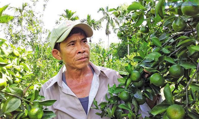 Hỗ trợ HTX huy động vốn Nền tảng hàng đầu cung cấp Cwin com kinh doanh