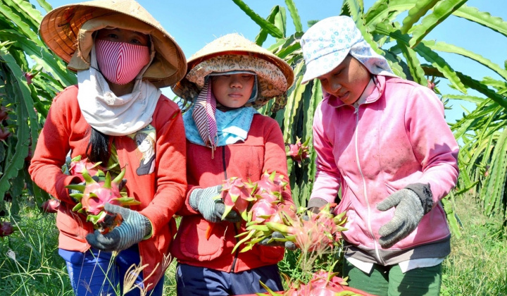 Xây dựng thương hiệu, nâng sức cạnh tranh cho hàng Việt tại thị trường Trung Quốc