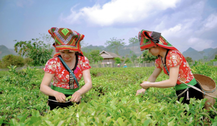 Một số kinh nghiệm quốc tế trong xây dựng thương hiệu cho đặc sản địa phương tại thị trường quốc tế