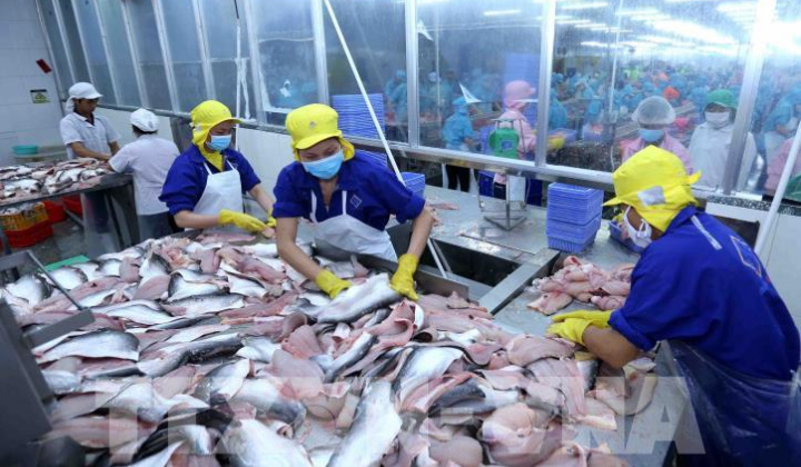 Cwin com sòng bạc trực tuyến cá tra sang EU tăng mạnh trở lại