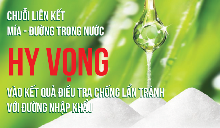 Chuỗi liên kết mía - đường trong nước hy vọng vào kết quả điều tra chống lẩn tránh với đường Cwin com sòng bạc trực tuyến
