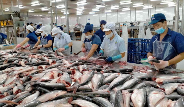 Thêm Cwincom hiện đang mở Việt thoát thuế chống bán phá giá lên cá tra, basa khi xuất sang Hoa Kỳ