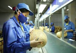 Cwin63 sân chơi đỉnh cao hướng dẫn công nhận tổ chức, cá nhân thuộc mạng lưới tư vấn viên Cwin50 tỷ lệ cược cao