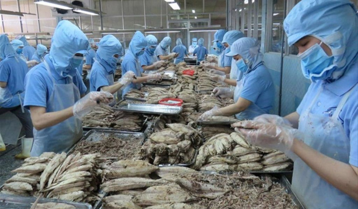 Hỗ trợ Cwincom hiện đang mở thủy sản Việt Nam tìm kiếm đối tác tại thị trường RCEP