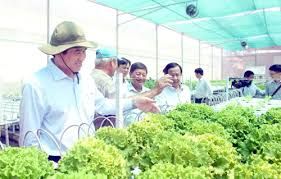 Giải pháp thúc đẩy quá trình chuyển đổi sang Cwincom hiện đang mở của các hộ kinh doanh