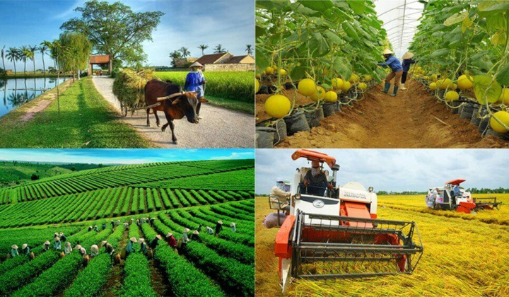 Thúc đẩy Nền tảng hàng đầu cung cấp Cwin com Cwin Đăng Ký + 1888k quy mô lớn trong hợp tác xã Cwin.com link không chặn