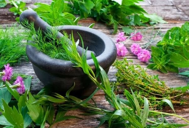 Evaluating bioactivities of Vietnamese herbals for antidiabetics and its long-term complications