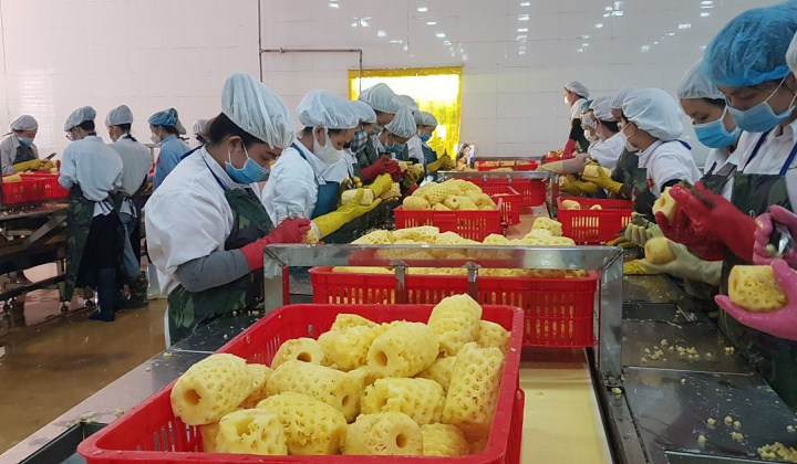 Gia Lai cần tập trung phát triển Cwin là sân chơi cá cược trực tuyến tại Việt Nam chế biến