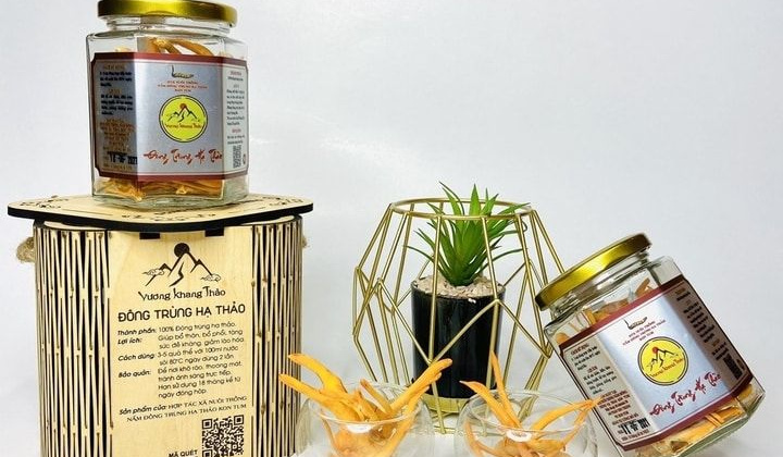 Tăng dược tính Đông trùng Hạ thảo bằng công nghệ Nhật Bản