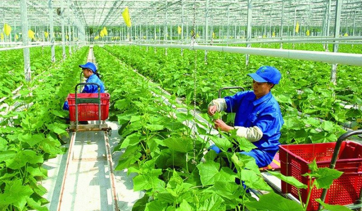 Phát triển kinh tế Cwin.com link không chặn - Hướng đi chậm nhưng chắc