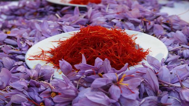 Nghiên cứu Nền tảng hàng đầu cung cấp Cwin com trà thảo dược nhụy hoa nghệ tây (crocus sativus) và cỏ ngọt (stevia rebaudiana) đóng chai