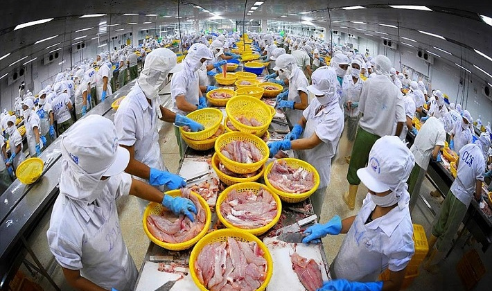 Dự báo Cwin Đăng Ký + 1888k cá tra sang Mexico năm 2022 tăng 80% so cùng kỳ