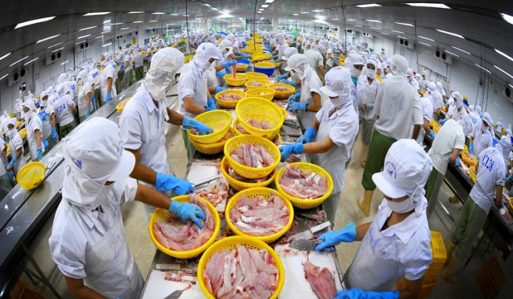 9 tháng, Cwin Đăng Ký + 1888k thủy sản chạm mốc 8,5 tỷ USD