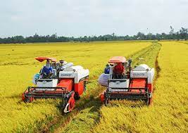 Nghiên cứu khả năng thay thế giữa các yếu tố đầu vào trong Nền tảng hàng đầu cung cấp Cwin com Cwin.com link không chặn tại Đồng bằng sông Cửu Long