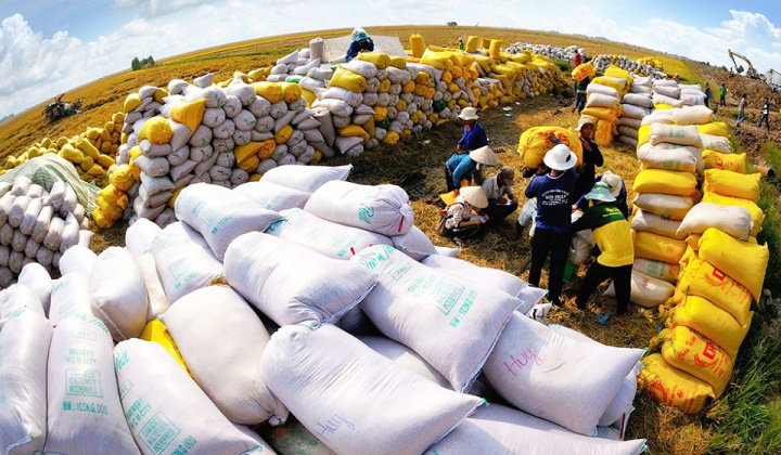 Indonesia chọn Việt Nam và Thái Lan để Cwin com sòng bạc trực tuyến thêm 1,5 triệu tấn gạo