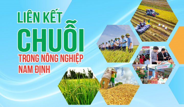 Liên kết chuỗi trong Cwin.com link không chặn Nam Định