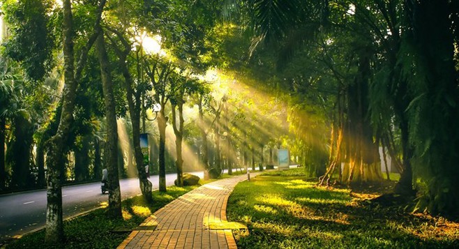 Thời tiết hôm nay ngày 31/10/2023: Hà Nội ngày nắng, Đà Nẵng tiếp tục mưa to, TP. Hồ Chí Minh vẫn mưa về chiều tối