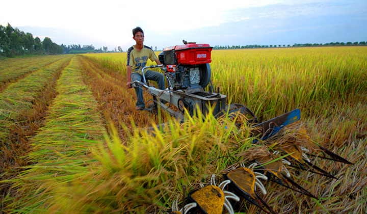 Kết quả chuyển dịch cơ cấu kinh tế ở đồng bằng sông Cửu Long trong bối cảnh biến đổi khí hậu