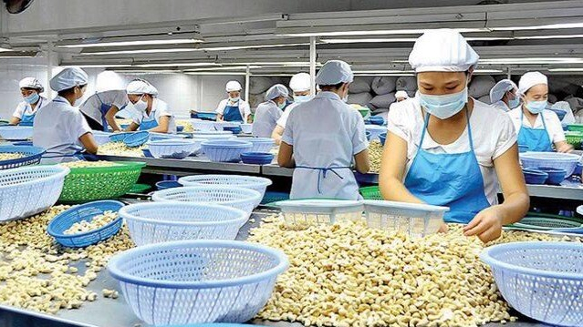 Cwin com sòng bạc trực tuyến hạt điều ghi nhận mức cao kỷ lục mới